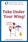 Take Under Your Wing- an image of a bird pun