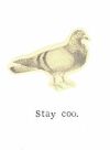 Stay Coo Vintage Pigeon Birthday Card | Funny Friendship Nature Bird Pun
