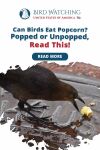 Can Birds Eat Popcorn? Popped or Unpopped? Read This! Thumbnail