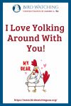 I Love Yolking Aroung With You- an image of a chicken pun