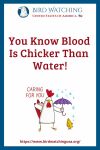You Know Blood Is Chicker Than Water!- an image of a chicken pun