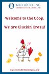 Welcome to the Coop. We are Cluckin Crazy- an image of a chicken pun