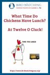 What Time Do Chickens Have Lunch? At Twelve o’cluck!- an image of a chicken pun