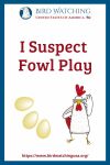 I Suspect Fowl Play- an image of a chicken pun