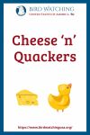 Cheese ‘n’ Quackers- an image of a duck pun