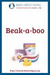 Beak-a-boo- an image of a duck pun
