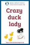 Crazy duck lady- an image of a duck pun
