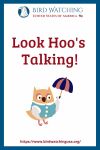 Look Hoo's Talking!- an image of an owl pun