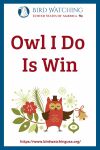Owl I Do Is Win- an image of an owl pun
