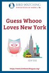 Guess Whooo Loves New York- an image of an owl pun
