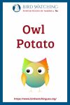 Owl Potato- an image of an owl pun