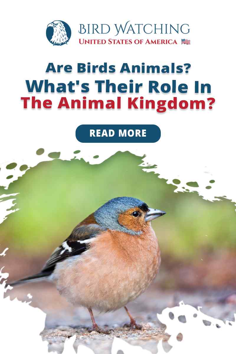 Are Birds Animals? What's their role in the Animal Kingdom?