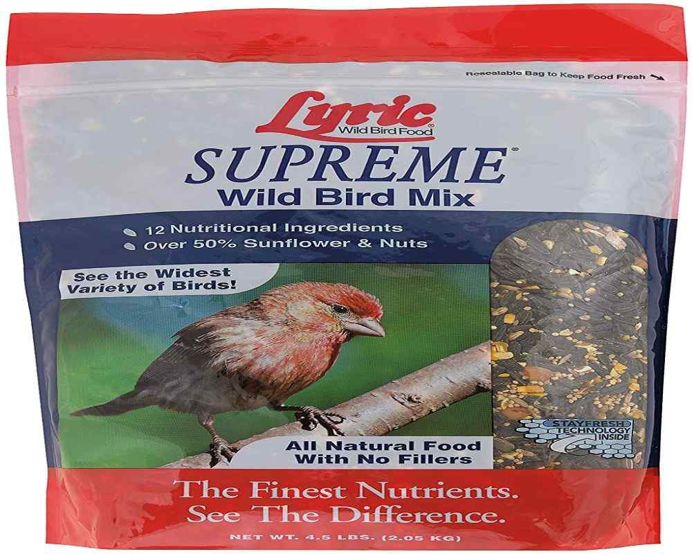 Top 10 Is popcorn good for wildlife 2 Can Birds Eat Popcorn? Popped or Unpopped? Read This!</span>
