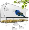 Hanging Window Bird Feeder