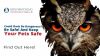 Could Owls Be Dangerous? Be Safe! And Keep Your Pets Safe Thumbnail