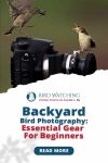 Backyard Bird Photography: Essential Gear for Beginners - Here is Your Expert & Exciting Guide! Thumbnail
