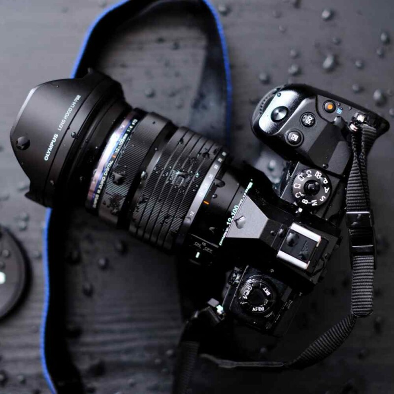 Backyard Bird Photography Essential Gear for Beginners Here is Your