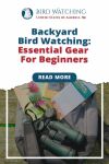 Backyard Bird Watching Essential Gear for Beginners - Fantastic & Amazing Guide Thumbnail