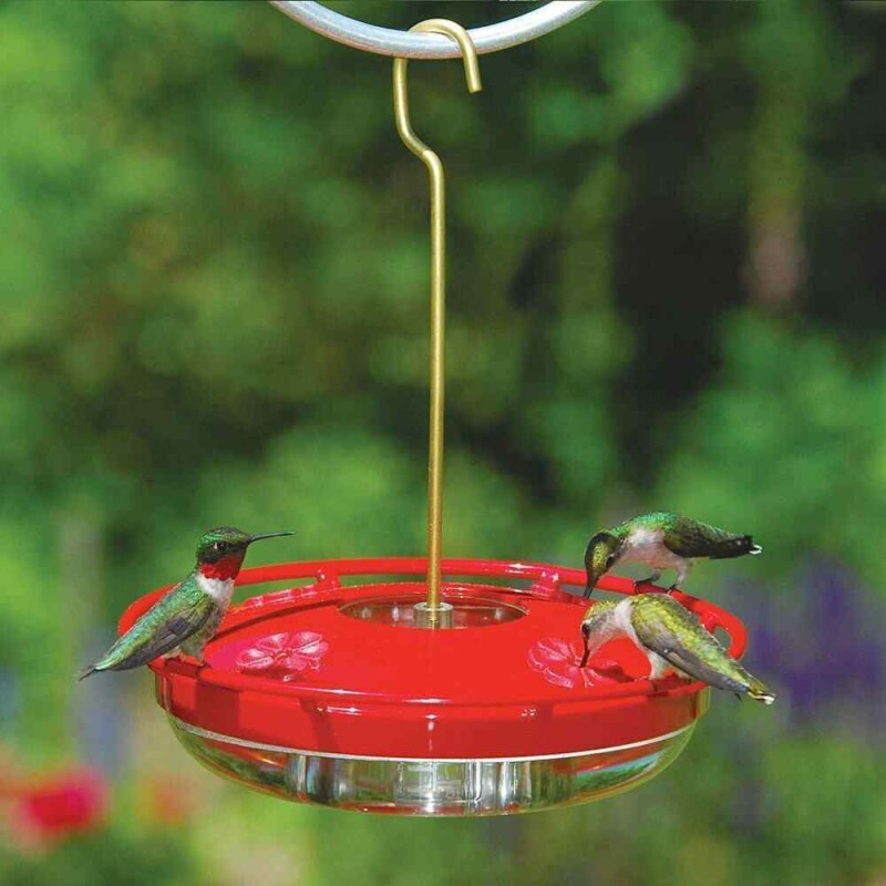 Best Bird Feeders for Hummingbirds The 13 Top Rated Feeders