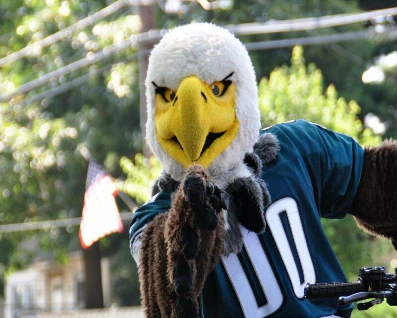 Top 24 Bird Mascots: Names, Colleges, NFL & More!