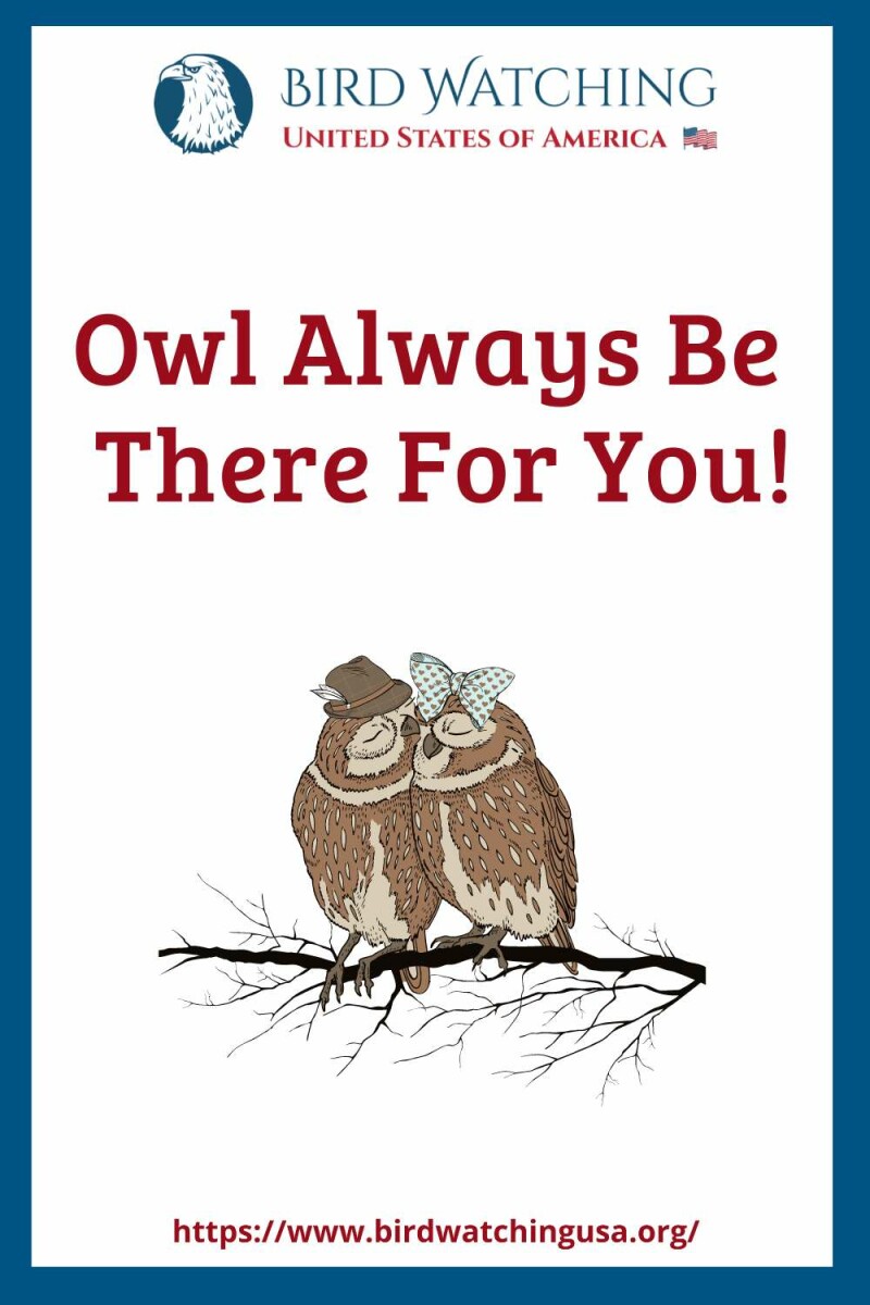 62 Funny Bird Puns & Pictures to Make You Smile!