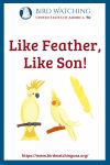 Like Feather, Like Son- an image of a bird pun