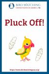 Pluck Off- an image of a bird pun