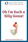 Oh I’m Such a Silly Goose!- an image of a bird pun