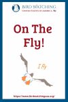 On The Fly- an image of a bird pun