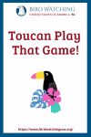 Toucan Play That Game- an image of a bird pun