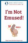 I’m Not Emused- an image of a bird pun