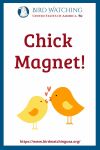 Chick Magnet- an image of a bird pun