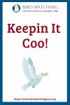 Keepin It Coo!- an image of a bird pun