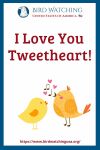 I Love You Tweetheart!- an image of a bird pun