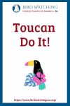 Toucan Do It- an image of a bird pun