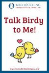 Talk Birdy to Me- an image of a bird pun