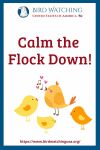 Calm the Flock Down- an image of a bird pun