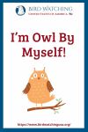 I’m Owl By Myself- an image of a bird pun