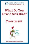 What Do You Give a Sick Bird? Tweetment.- an image of a bird pun