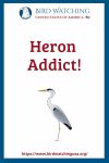 Heron Addict- an image of a bird pun