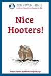 Nice Hooters- an image of a bird pun