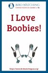I Love Boobies- an image of a bird pun