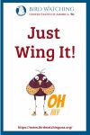 Just Wing It!- an image of a bird pun