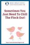 Sometimes You Just Need To Chill The Flock Out- an image of a bird pun