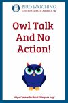 Owl Talk And No Action- an image of a bird pun