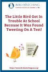 The Little Bird Got In Trouble At School Because It Was Found Tweeting On A Test.- an image of a bird pun