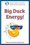 Big Duck Energy- an image of a bird pun