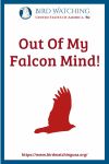 Out Of My Falcon Mind- an image of a bird pun