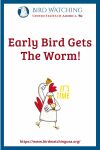 Early Bird Gets The Worm- an image of a bird pun