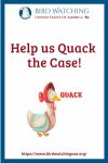 Help us Quack the Case- an image of a bird pun